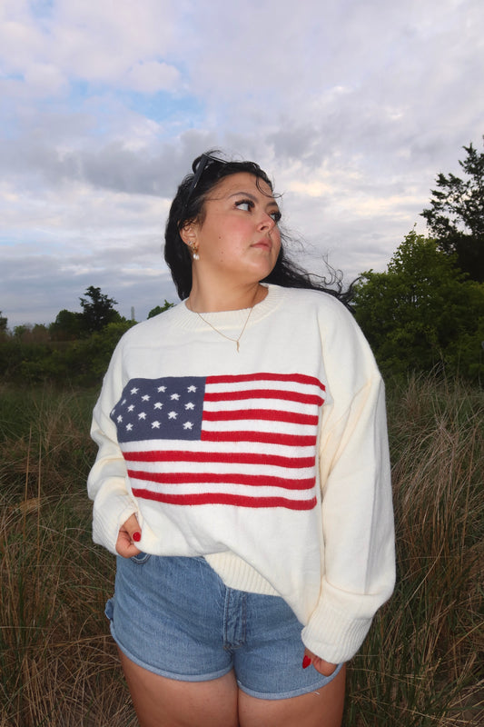 USA Sweater